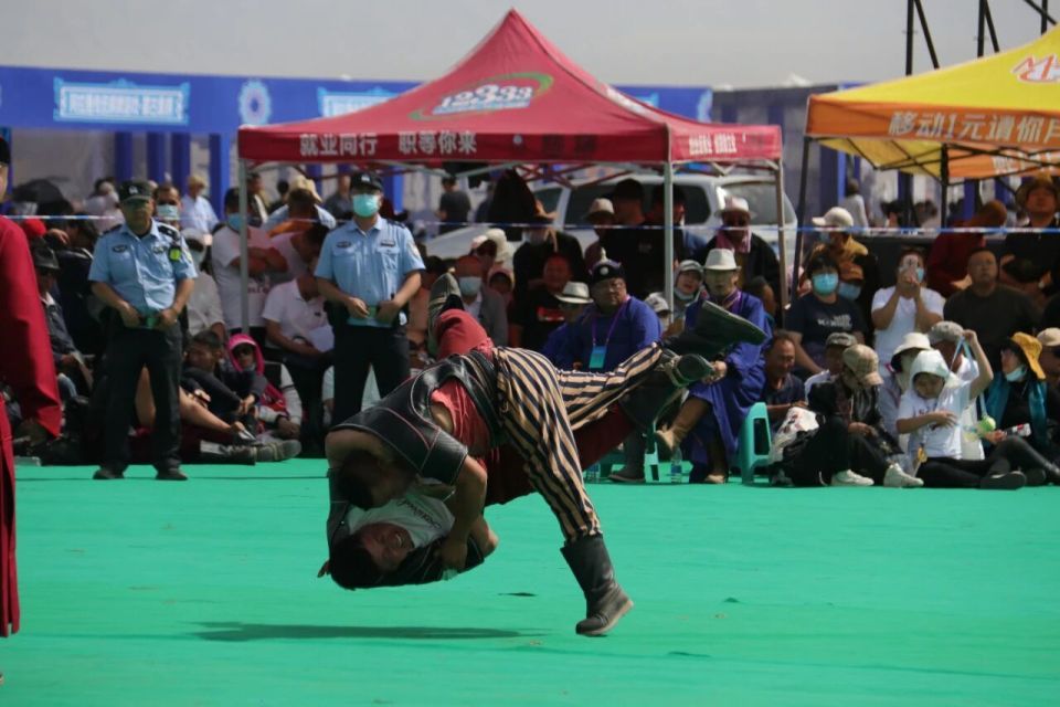 inews, 米速度赛驼