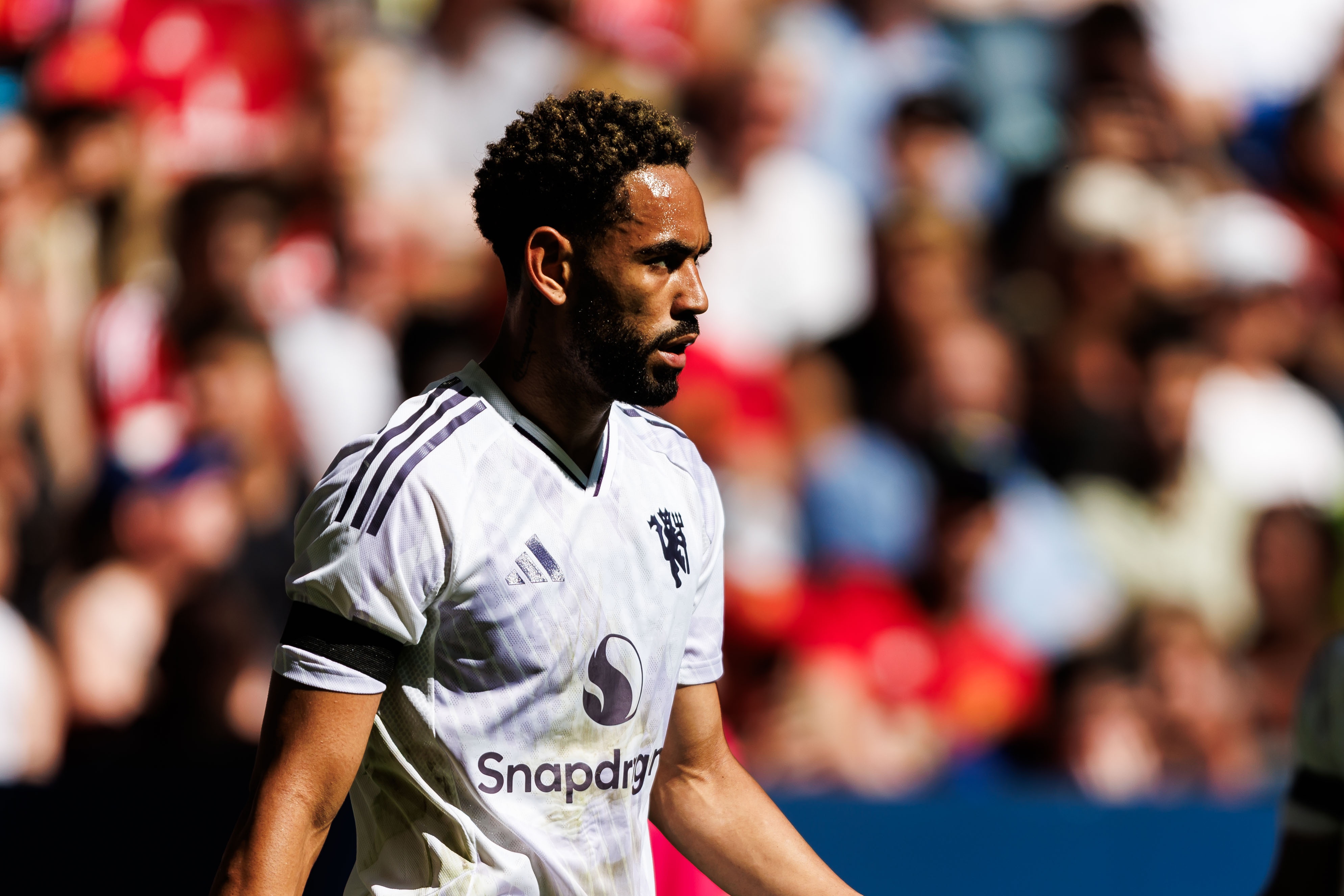 stron, 虽然我们是, 罗德里戈和