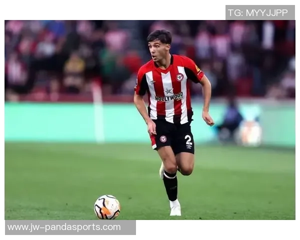 2019年米尔沃尔对阵布伦特福德精彩比赛直播回顾与分析